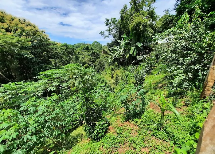 Сasa de vacaciones Eco-turismo Guayacanes