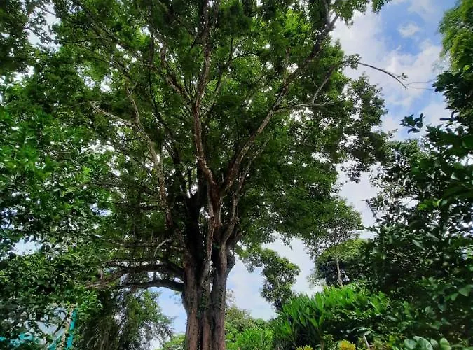 Casa vacanze Eco-turismo Guayacanes Sámara